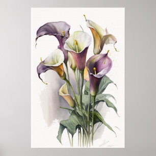 Poster Lavender Calla Lilies Lily Flower Art Imprimer Pos