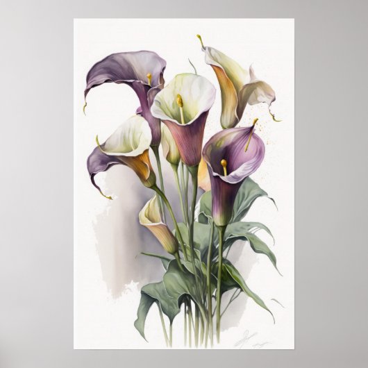 Poster Lavender Calla Lilies Lily Flower Art Imprimer Pos (Devant)