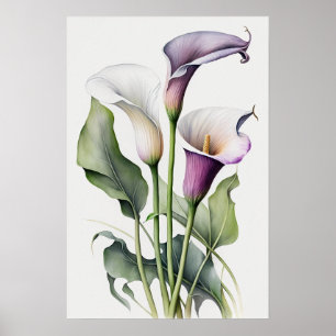 Poster Lavender Calla Lilies Lily Flower Art Imprimer Pos