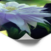 Poster Lavender Clematis Fleur Trellis Miroir Abstrait (Coin)