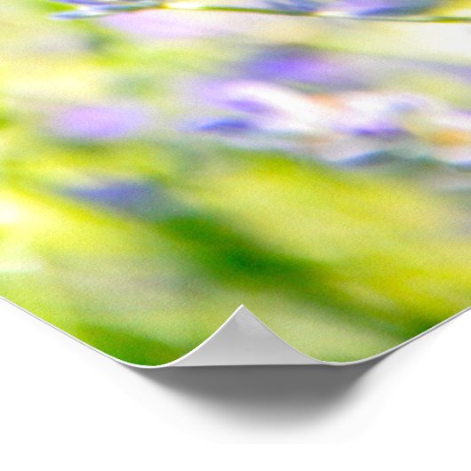 Poster Lavender Dream (Coin)