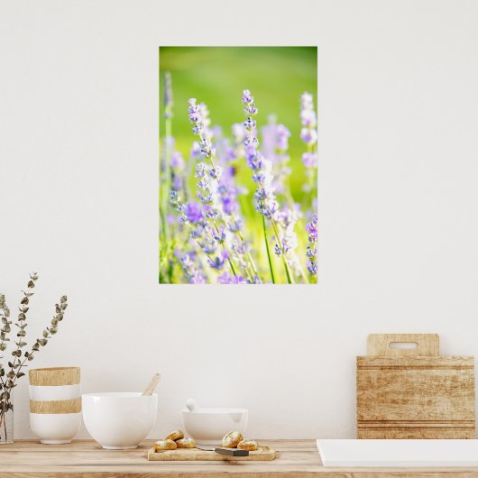 Poster Lavender Dream (Cuisine)