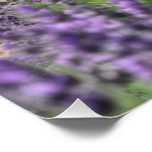 Poster lavender field (Coin)