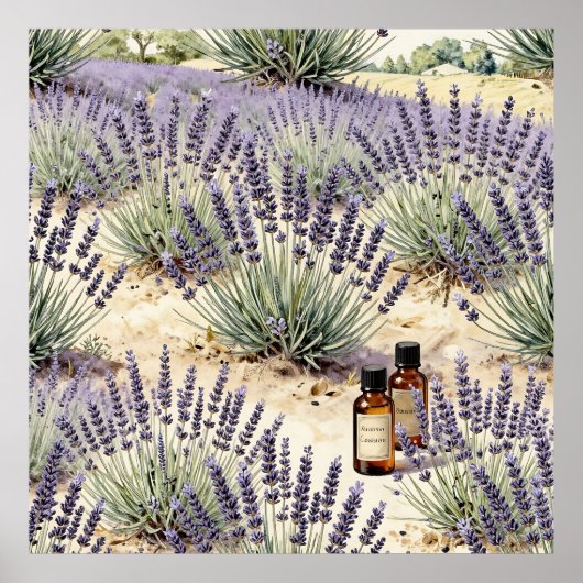 Poster Lavender Field Essential Oil Watercolor Pattern (Devant)