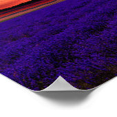Poster lavender Field Sunset (Hoek)