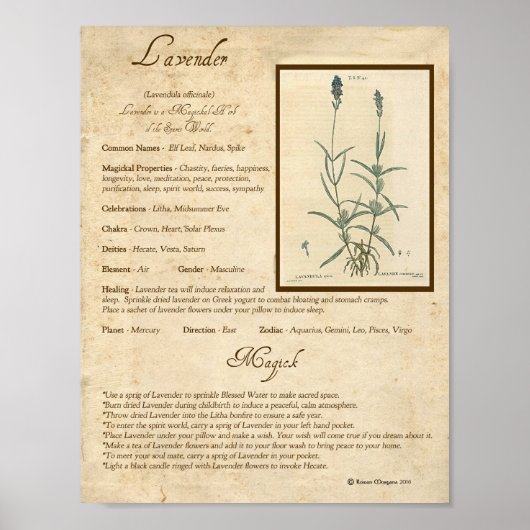 POSTER LAVENDER MAGICK HERB (Devant)
