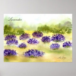 Poster lavender Planten