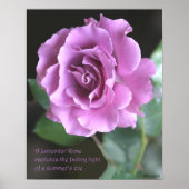 Poster lavender Roos: ROOS & PROSE 16x20 (Voorkant)