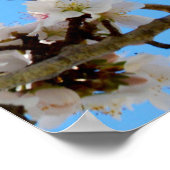 Poster L'avènement du printemps : Les fleurs blanches con (Coin)