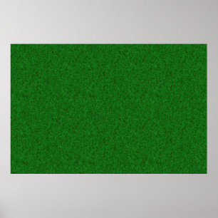 Poster Lawn grass texture background