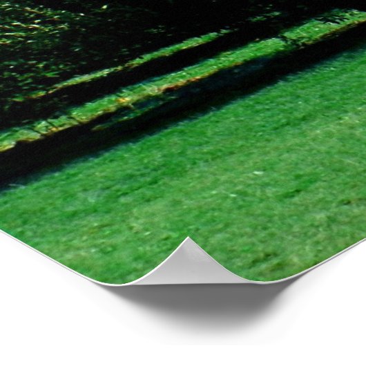 Poster Layers of Nature (Coin)