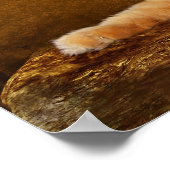 Poster Lazing cat (Coin)