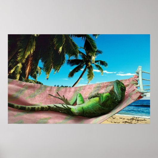 Poster Lazy Day (Devant)