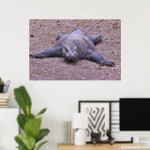 Poster Lazy Dragon S'Étend (Bureau à domicile)