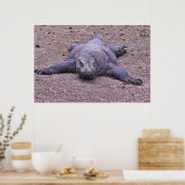 Poster Lazy Dragon S'Étend (Cuisine)