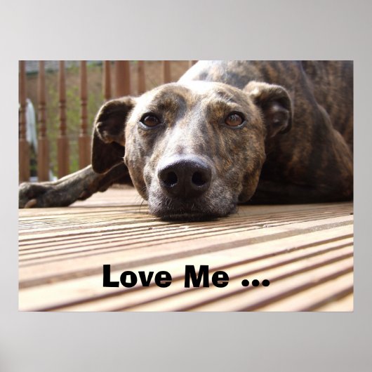 Poster Lazy Lurcher (Devant)