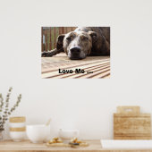 Poster Lazy Lurcher (Cuisine)