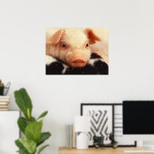 Poster Lazy Piglet (Bureau à domicile)