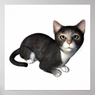 Poster L'Curieux Kitten Gris