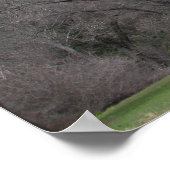 Poster Le Ahwahnee-Yosemite (Coin)