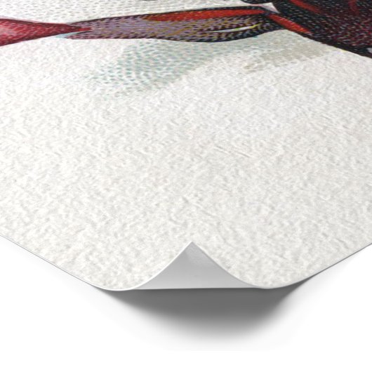 Poster Le baiser de la sorcière : Jack-o'-lantern à Hallo (Coin)