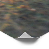 Poster Le banc (Coin)