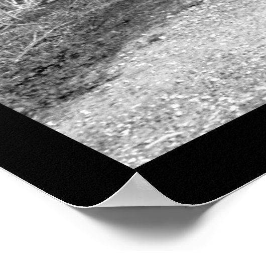 Poster Le banc (Coin)