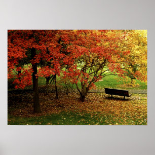 Poster Le Banc D'Automne