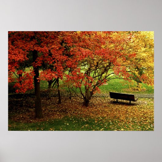 Poster Le Banc D'Automne (Devant)