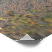 Poster Le Banc II (Coin)