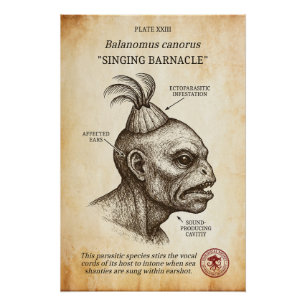 Poster Le barnacle chantant - biologie de Lovecraftian