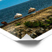 Poster Le bastion imposant de Fair Head (Coin)