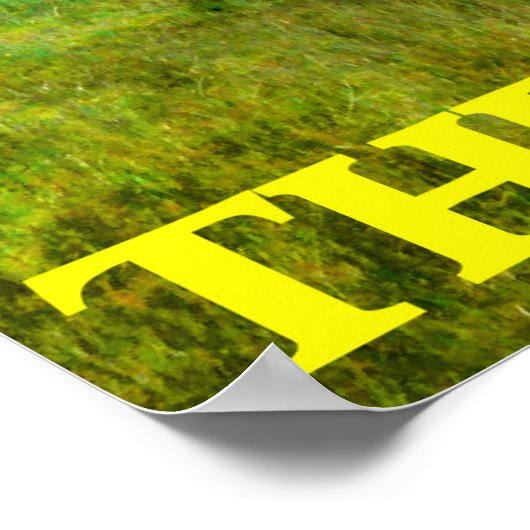 Poster le berger (Coin)