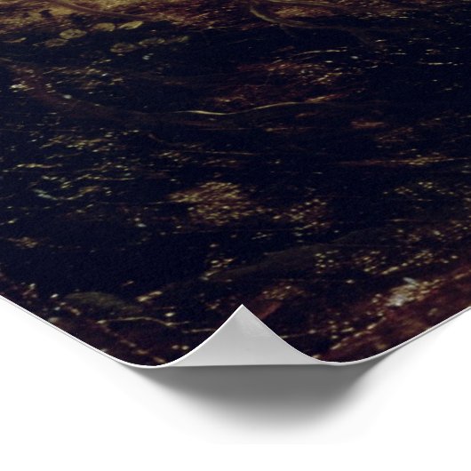 Poster Le berger (Coin)