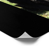 Poster Le Berger belge alias "Le Loup noir" (Coin)