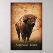 Poster Le bison américain sur la carte (Devant)