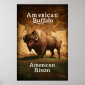 Poster Le bison américain sur une carte (Devant)
