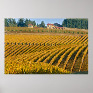 Poster Le Black Walnut Inn, d'apparence toscane, surplomb