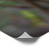 Poster Le blanc du printemps (Coin)