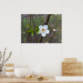 Poster Le blanc du printemps (Cuisine)