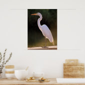 Poster Le blanc insaisissable (Cuisine)