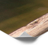 Poster Le blanc insaisissable (Coin)