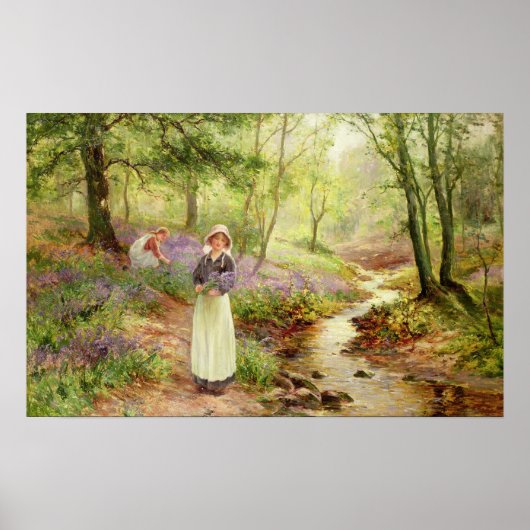 Poster Le bluebell Glade (Devant)