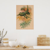 Poster Le Boa Vert de Joseph Wolf (Cuisine)