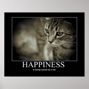 Poster Le bonheur est possédé par un chat