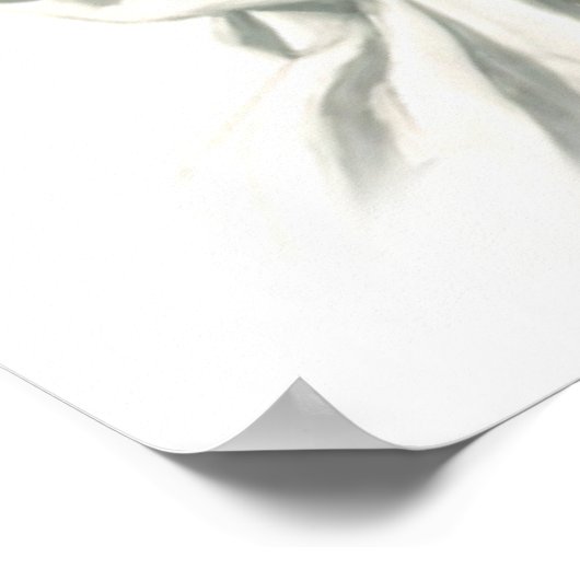 Poster Le Bonnet noir (Coin)