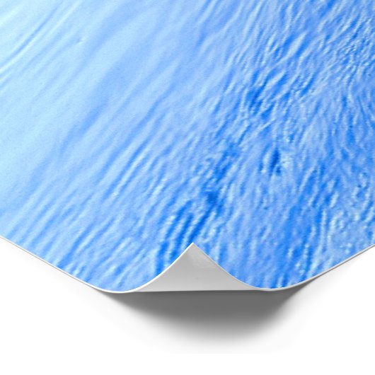 Poster Le bord de l'eau (Coin)