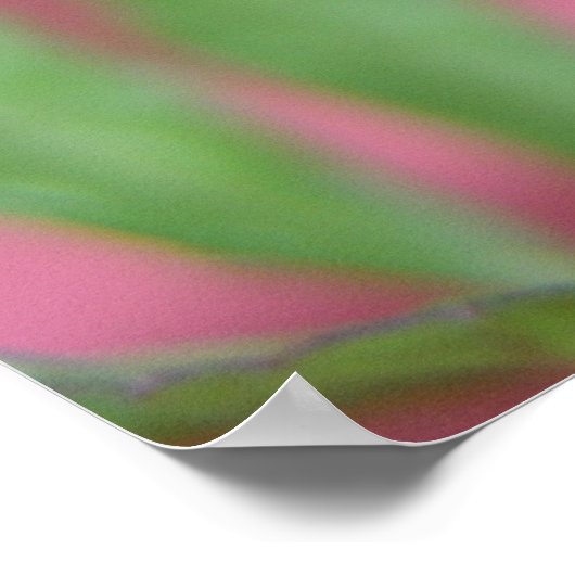 Poster Le Boud (Coin)