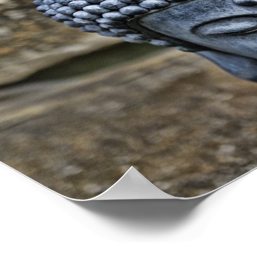 Poster Le Bouddha (Coin)