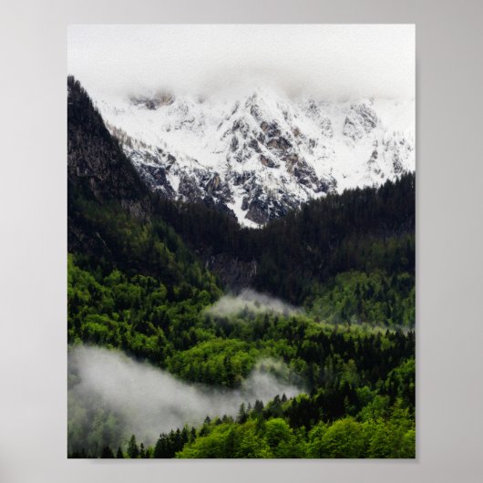 Poster Le brouillard qui roule dans la forêt sous les mon (Devant)